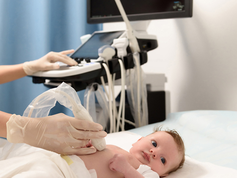 Ultrasonography of Whole Abdomen